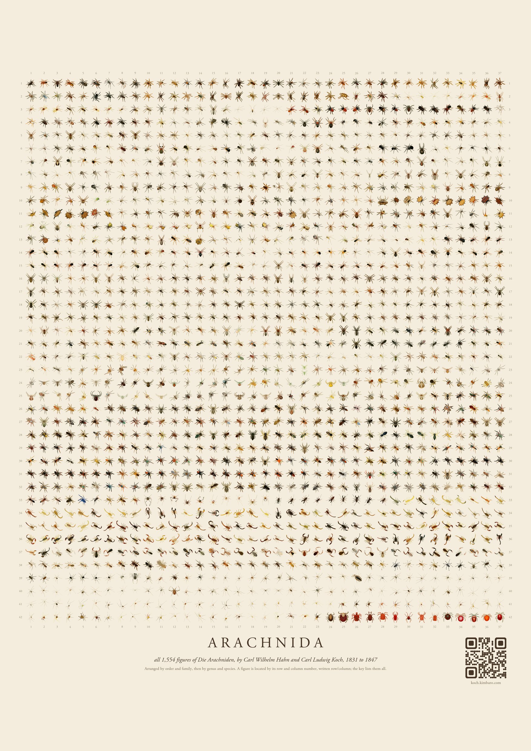 The poster